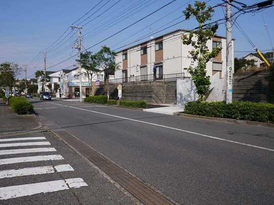 Local photos, including front road