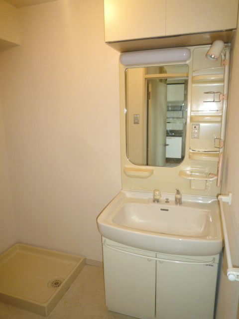 Washroom. Washbasin with shower