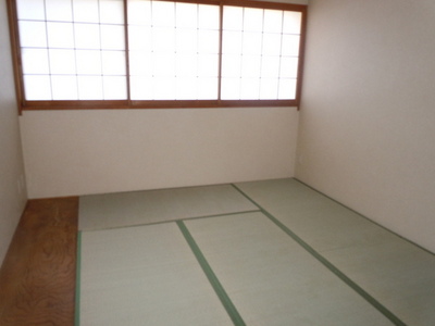 Living and room. Living room 3