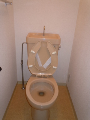 Toilet. Toilet