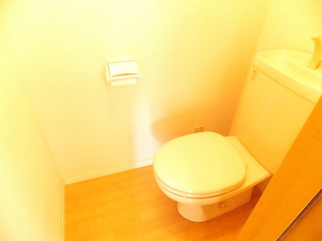 Toilet. There is also a wall outlet
