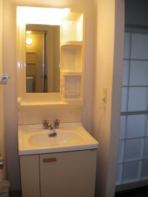 Washroom. Wash basin