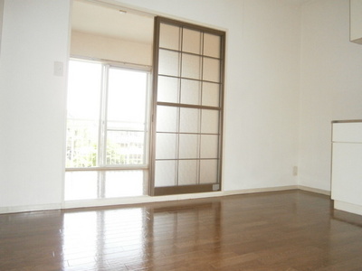 Living and room. Appearance of dining