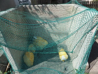 Other common areas.  ☆  On-site waste dump equipped  ☆