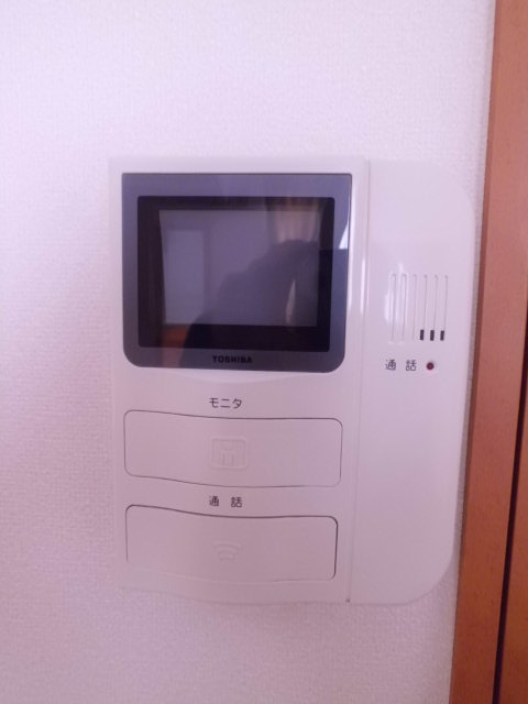 Security. Monitor with intercom