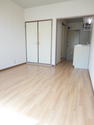 Living and room. Good partition without usability Western-style