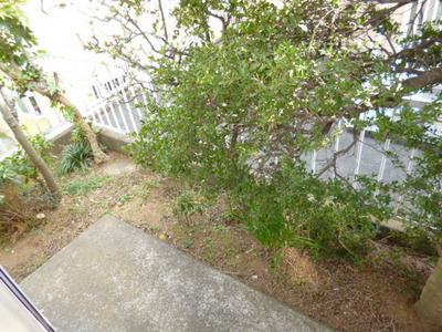 Garden. ☆ There is a private garden ☆