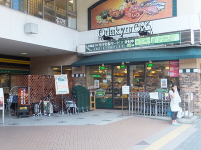 Supermarket. 753m to Odakyu OX (super)