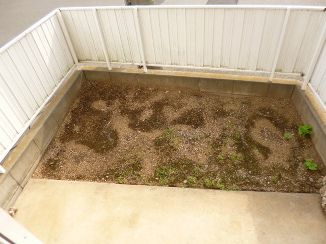 Garden.  ☆ It is your garden ☆