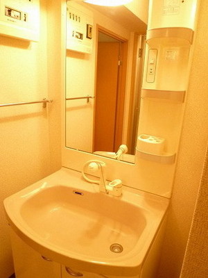 Washroom. Shampoo dresser