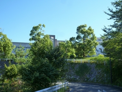 Other. 1500m until the Tama Art University (Other)