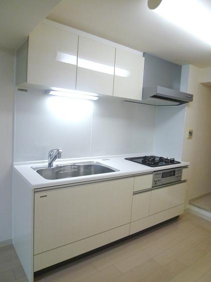 Kitchen. Indoor (10 May 2013) Shooting