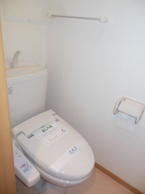 Toilet. Shower toilet