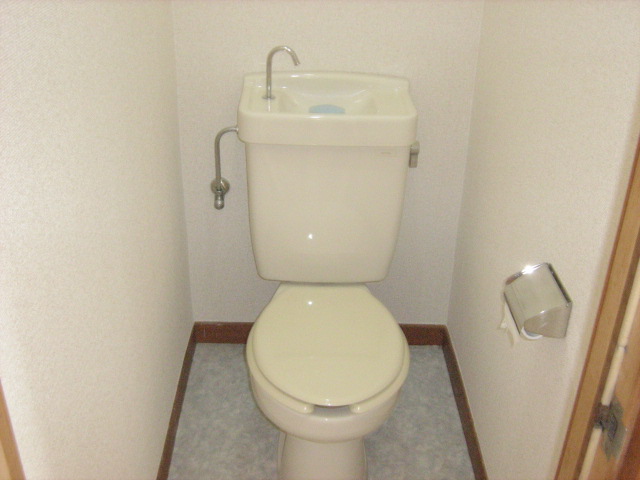 Toilet. Clean toilet