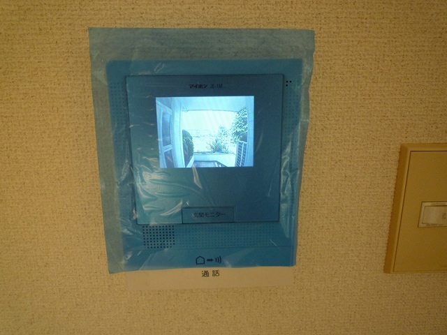 Other. TV monitor phone