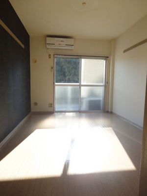 Living and room. It has become a bright Western-style plug light.