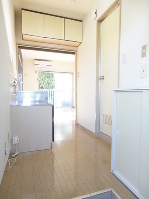 Other. Also it has received a bright light from the room to the front door!