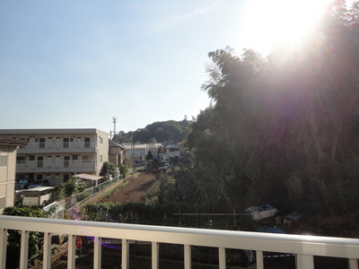 View. The surroundings are verdant environment!