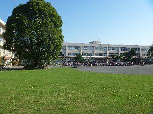 Primary school. Tadao 750m until the first elementary school