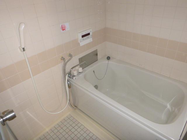Bathroom. Indoor (11 May 2013) Shooting