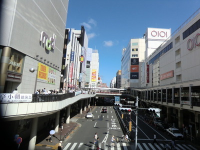 Other. 1000m to Machida Station (Other)