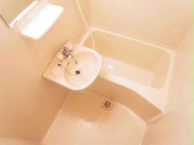 Bath. bath With bathroom dryer