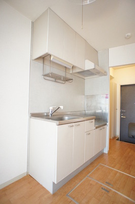 Kitchen. Storage is plenty large kitchen