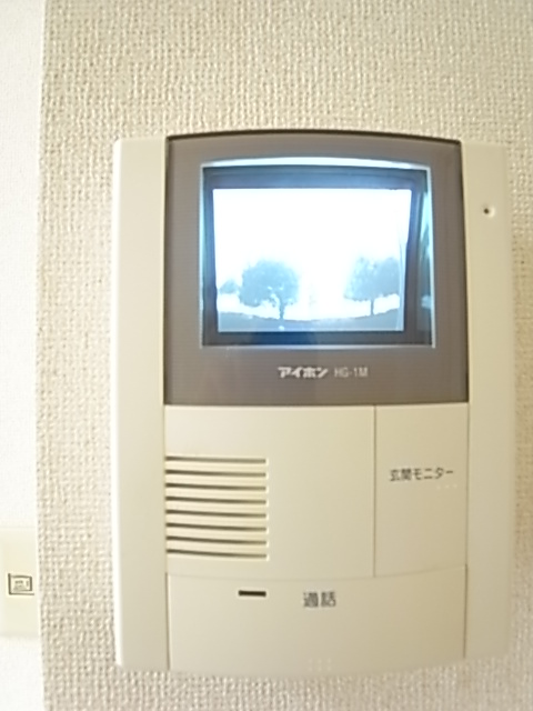 Security. Monitor with intercom