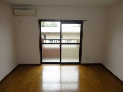 Living and room. Bright room