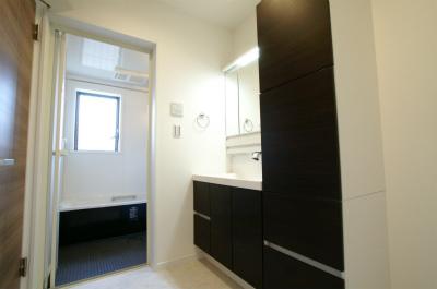 Wash basin, toilet. Indoor (12 May 2013) Shooting