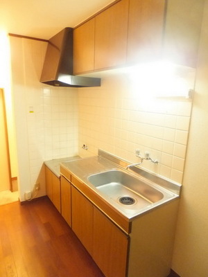 Kitchen. Two-burner gas stove can be installed