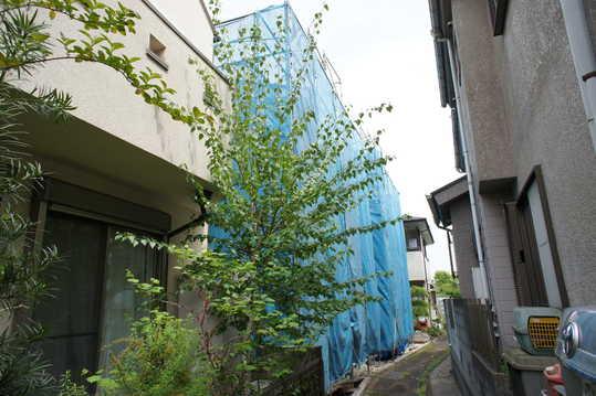 Local appearance photo. Local Photos