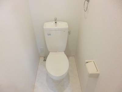 Toilet. Toilet with a shelf