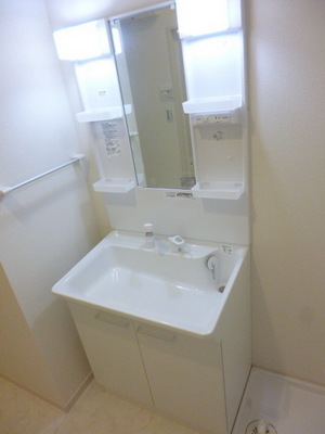 Washroom. Independent wash basin of condominium shame