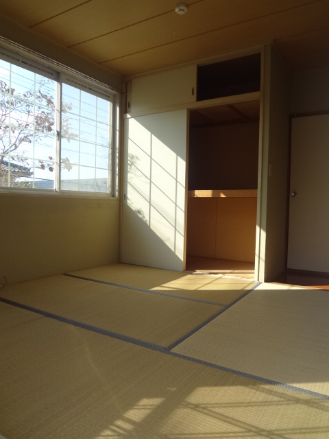 Living and room. There is a window to the west, There daily throughout the day! ?