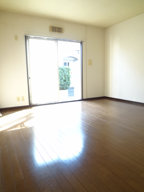 Living and room. First floor living room is also this day!