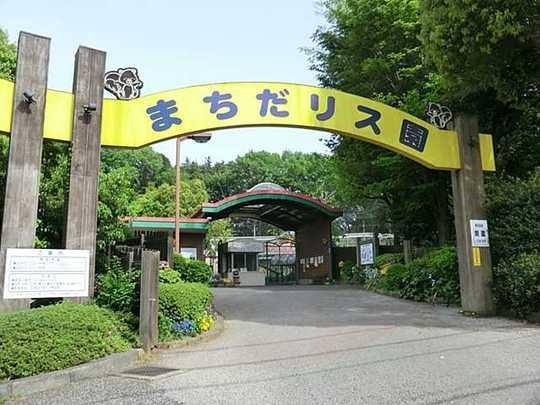 Other Environmental Photo. 350m until Machida Squirrel Garden