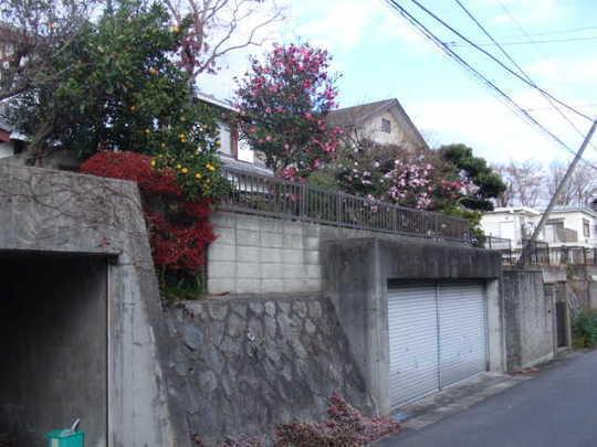 Local land photo. Local Photos