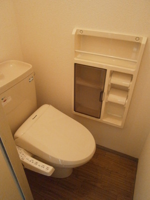 Toilet. Warm water washing toilet seat