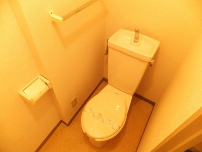 Toilet. Toilet