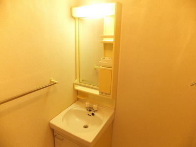 Washroom. Independent wash basin