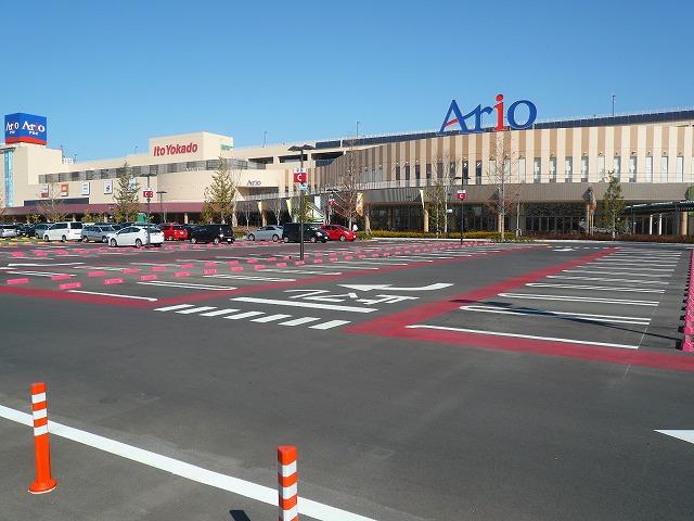 Other. Ario Hashimoto