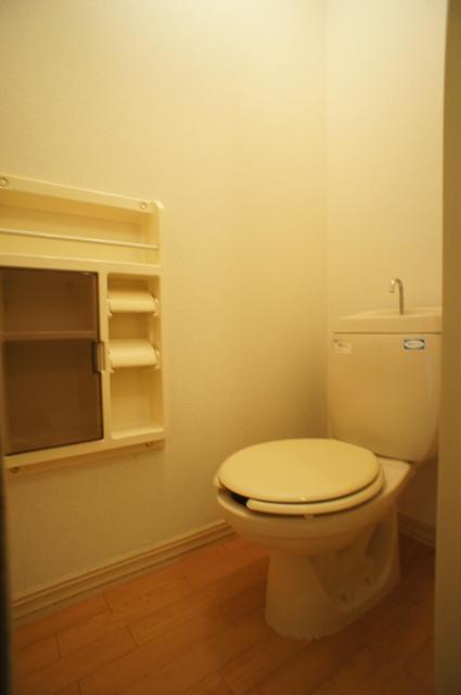 Toilet. What you need in the toilet Yes to set up a shelf in the toilet in the toilet