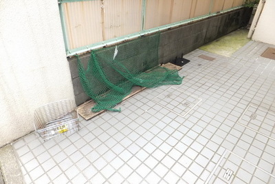 Other common areas.  ☆  Garbage Storage  ☆