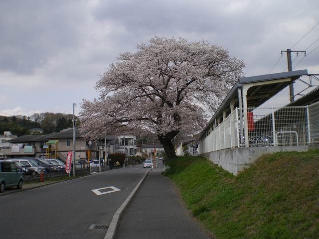 Other. (Other) to 320m