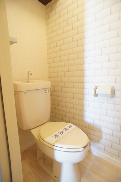 Toilet. What you need in the toilet Yes to set up a shelf in the toilet in the toilet