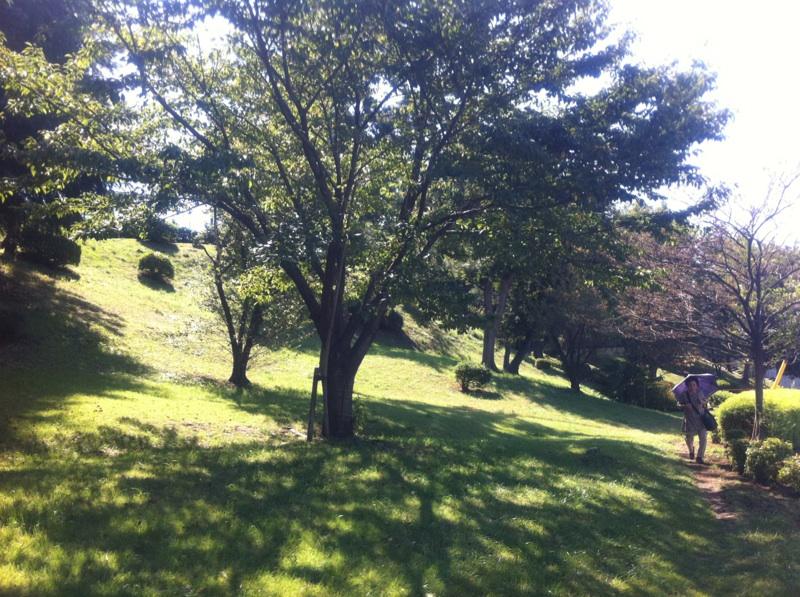 Other. 1-minute walk from the coma park (about 70m), Lush living environment