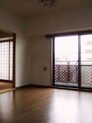 Living and room. South-facing bright LDK154 Pledge