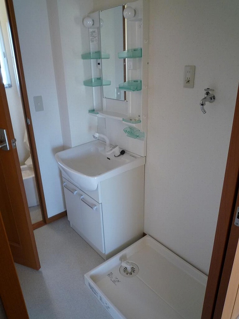 Washroom. Bathroom vanity