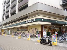 Supermarket. Odakyu 500m to OX (super)